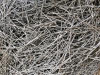 fibra1